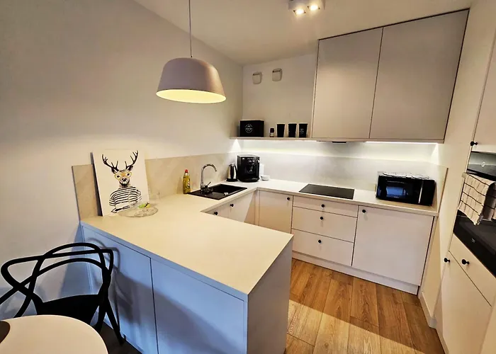 Allure Nova 4* Estetino